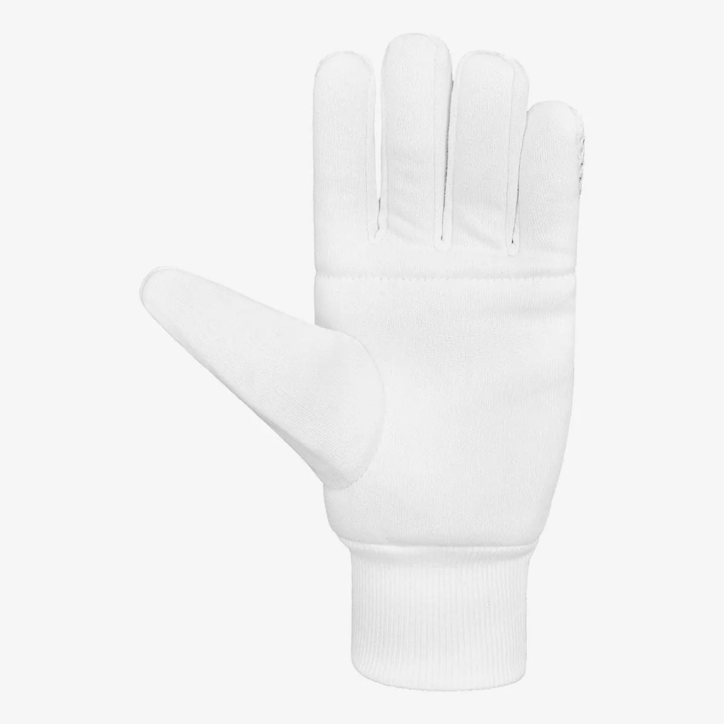 DSC Surge 2.0 Inner Wicket Keeping Gloves
