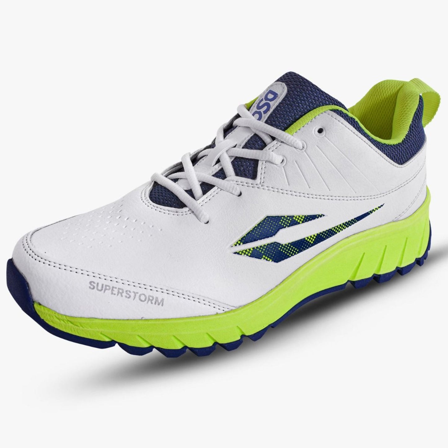 DSC Superstorm Cricket Shoes