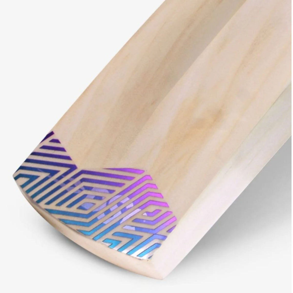 DSC RS Exclusiv Kashmir Willow Bat