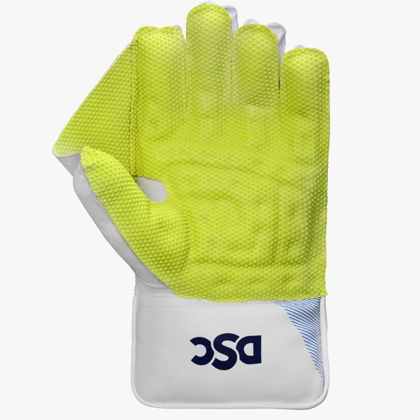 DSC Intense Attitude Wicket Keeping Gloves