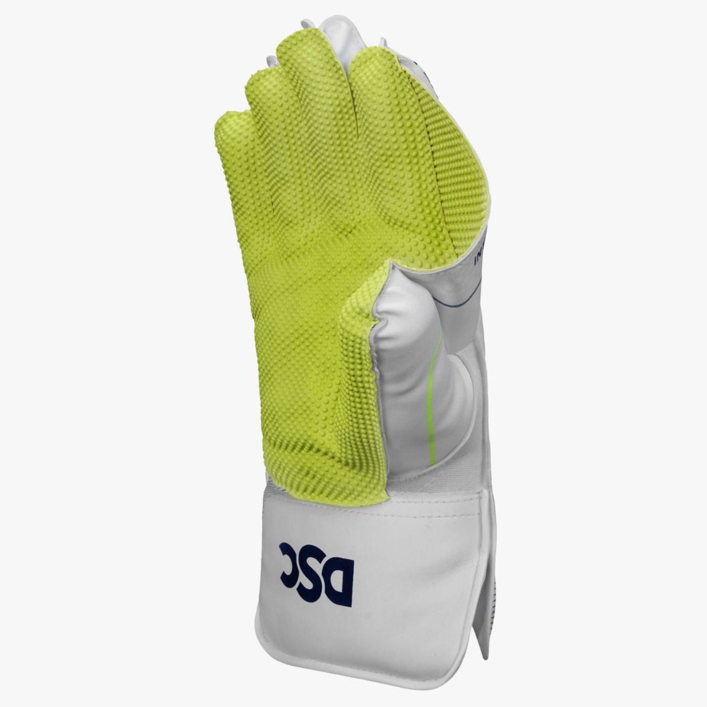 DSC Intense Attitude Wicket Keeping Gloves