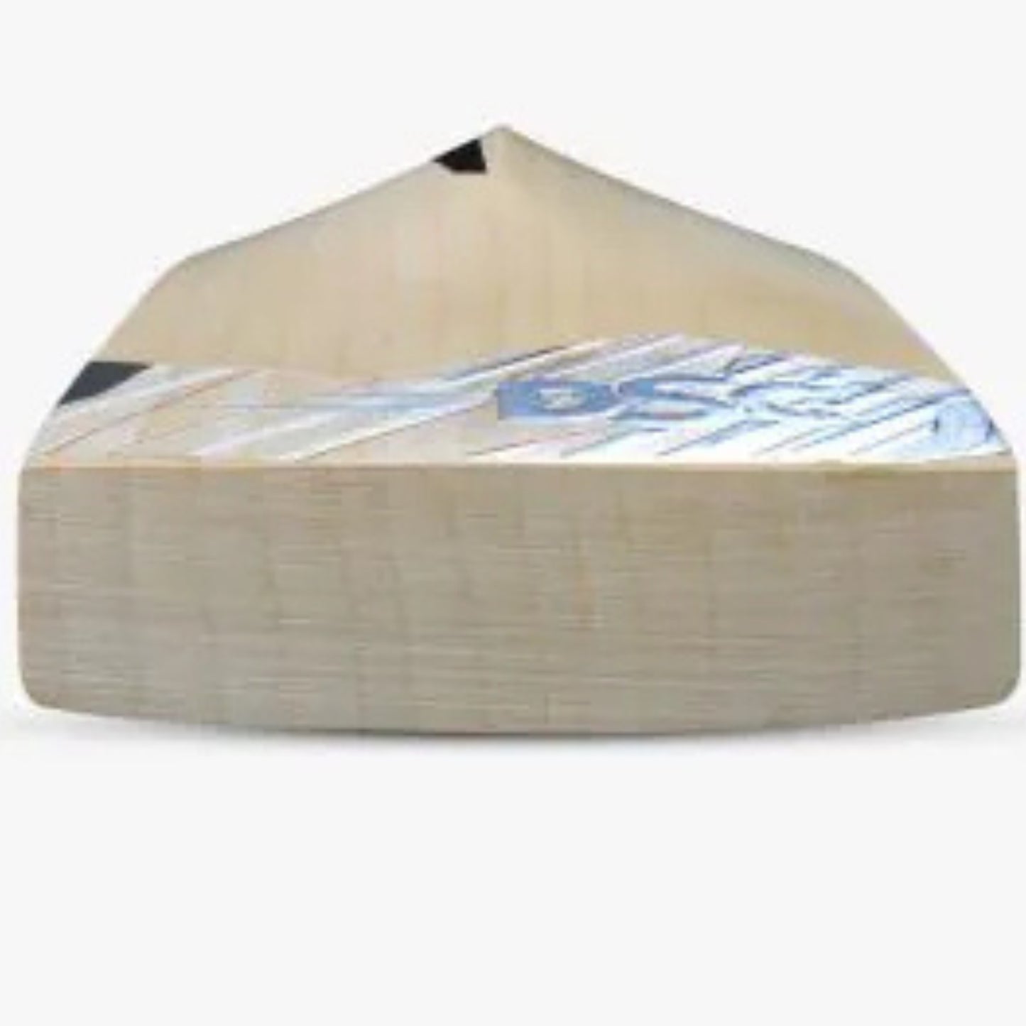 DSC BLAK 22 Kashmir Willow Bat