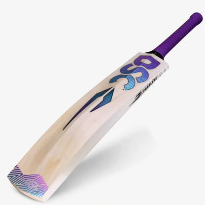 DSC RS Exclusiv Kashmir Willow Bat
