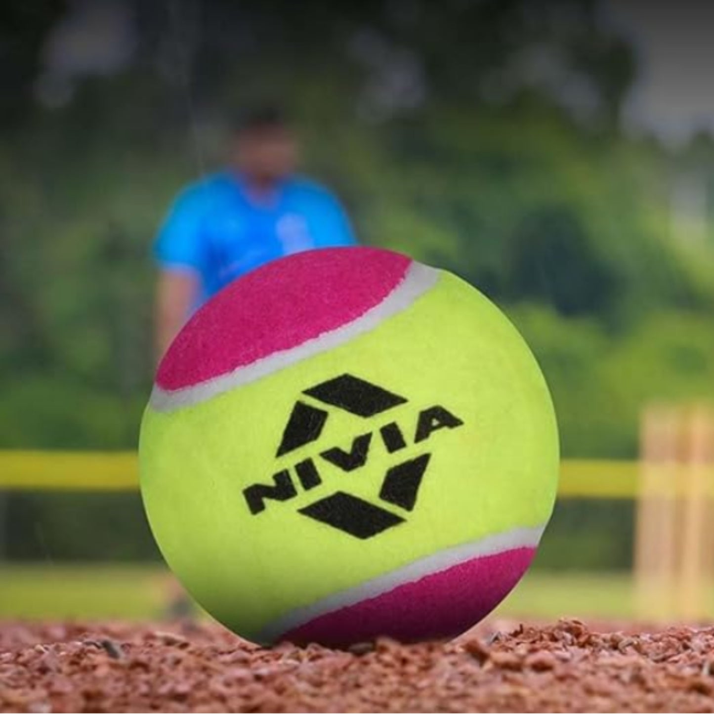 Nivia Cricket Tennis Ball  | Multi Colour  | (Pack of 12 Balls)